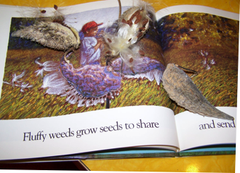 milkweed pods in the book and on the book