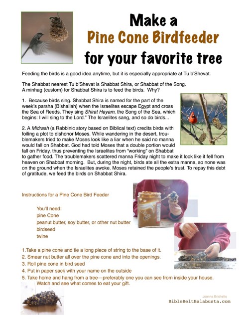 BirdFeeder sign, pinecone activity