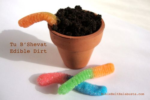 Edible Dirt, candy seeds, gummy worms
