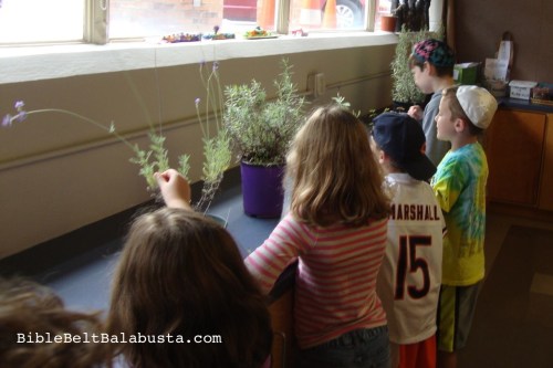 scratch 'n' sniff herb buffet