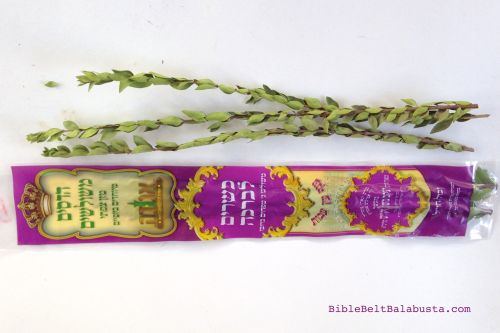 myrtle in the packet and out