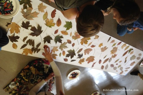tree leaves for crayon rubbing at Tu B'Shevat
