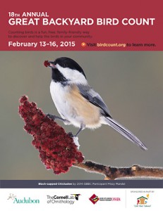 annual project: always President's Day Weekend