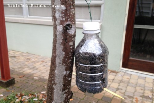 bottle bird feeder