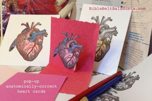 anatomically correct heart valentine