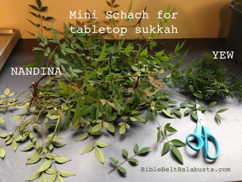 Eastern Hemlock twigs are even better