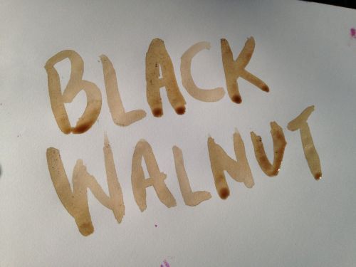 black-walnut-ink